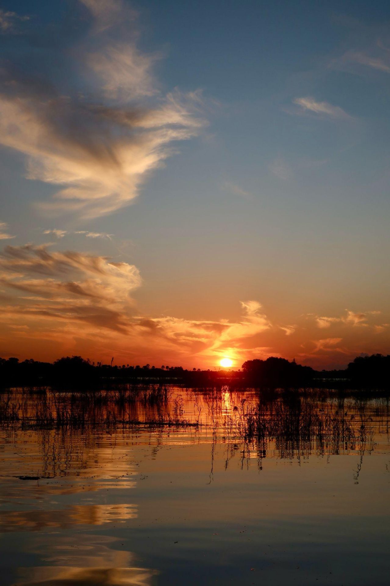 Okavango sunset — Botswana