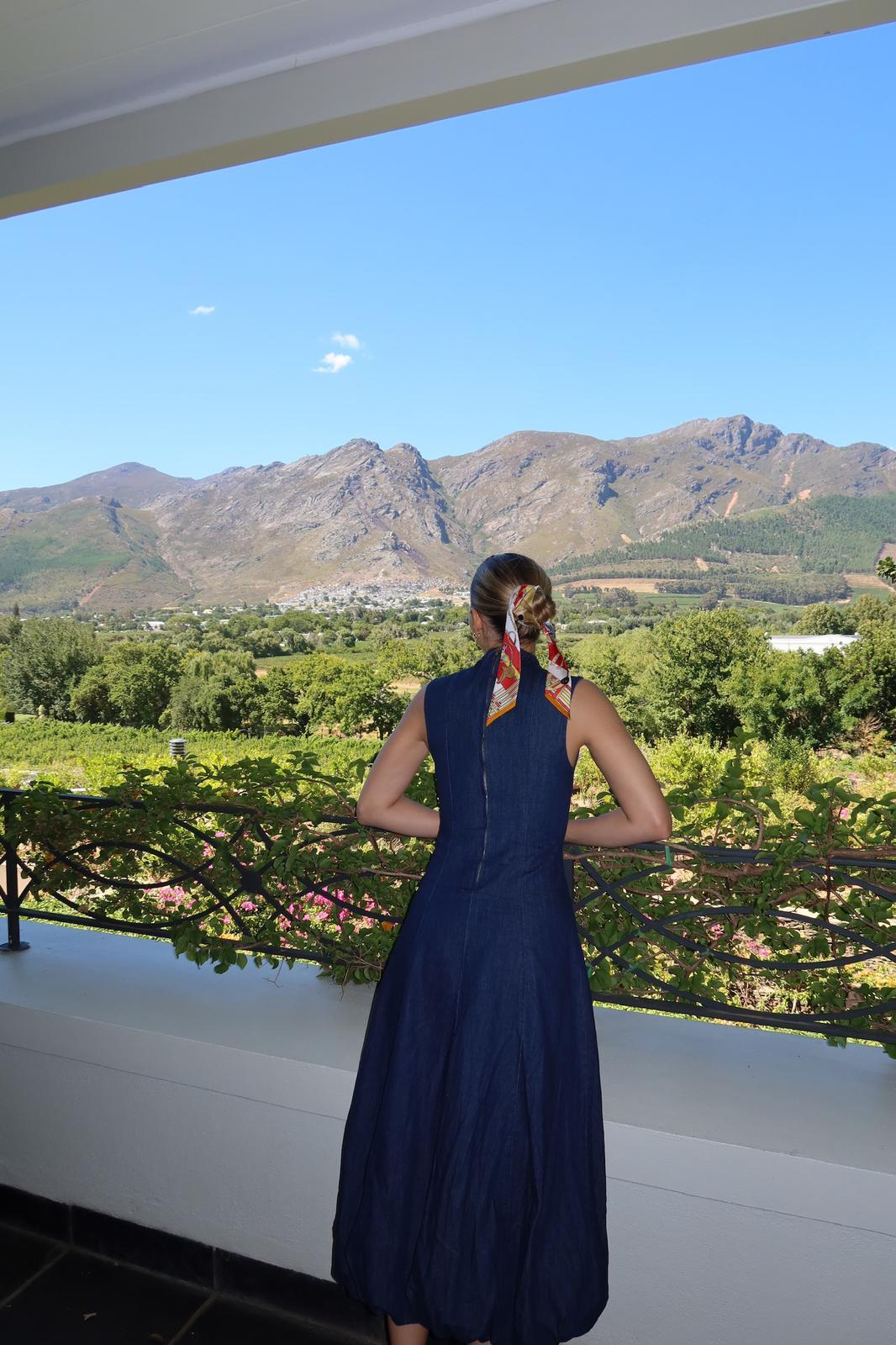 Vineyard views — Franschhoek